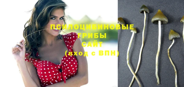 герыч Алзамай