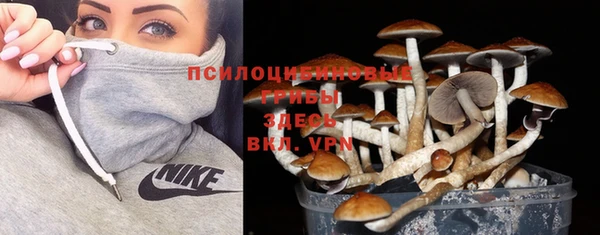 герыч Алзамай
