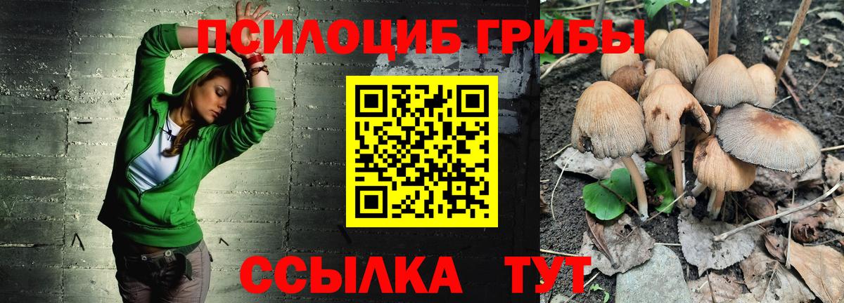 Коряжма  Галлюциногенные грибы Magic Shrooms  Вход с VPN 