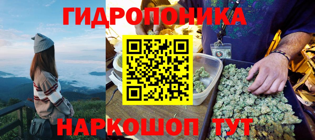 Коряжма  Марихуана марихуана  Каннабис семена  Вход с VPN 